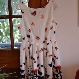 Beautiful, Butterfly, Print Dress!